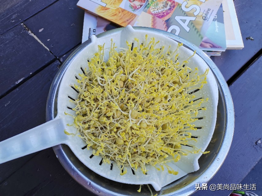一把豆子的价值,一把豆子种三年