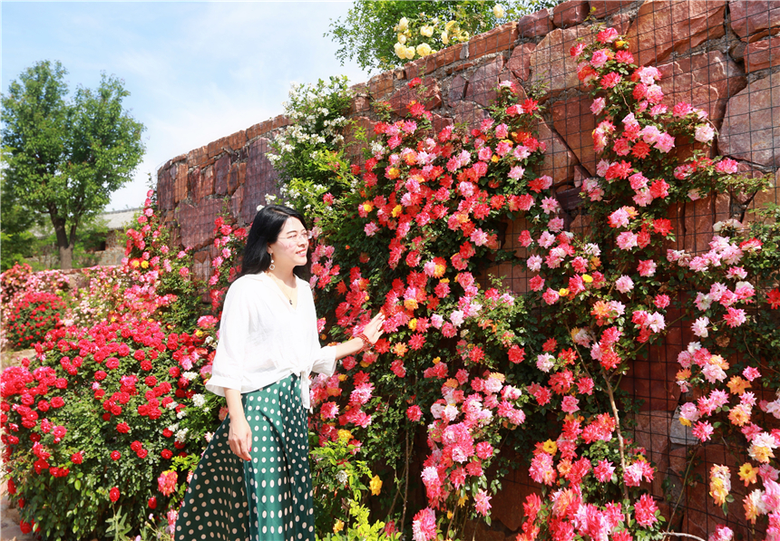 初夏河南,找寻童心,邂逅伏羲山的斜阳,一颗心萌化在云上牧场