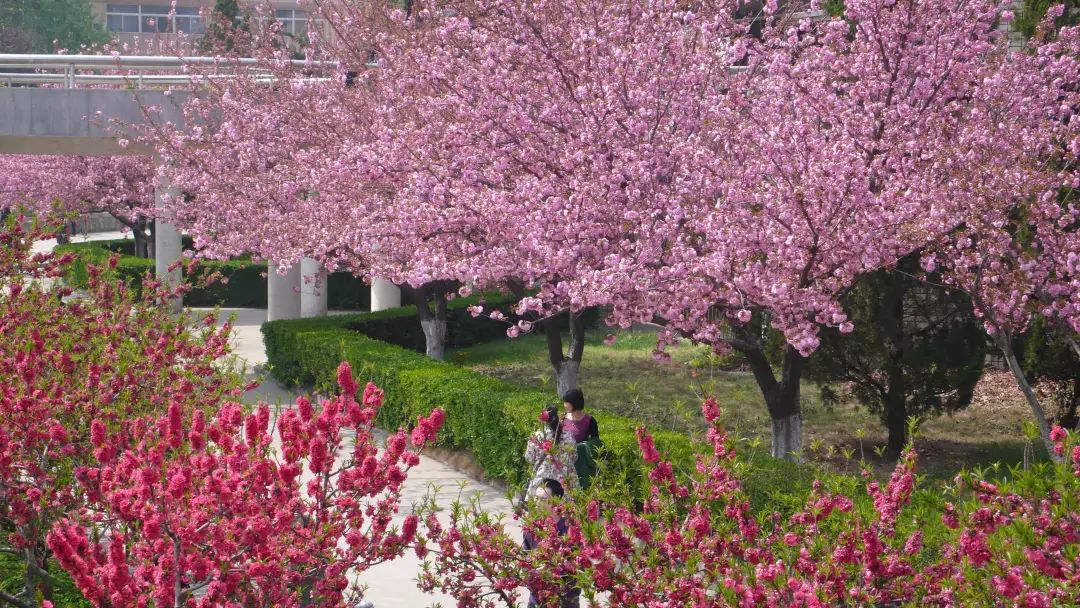 我为什么劝你来西安读大学?!