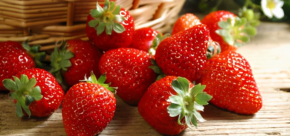 画画草莓教程可爱简单,绘画教程简单可爱草莓熊