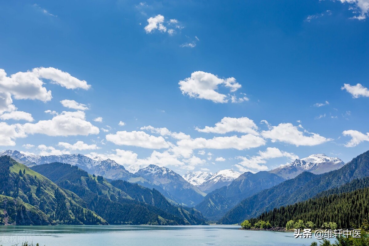 新黄帝内经王氏中医踩跷法“九通治则”篇