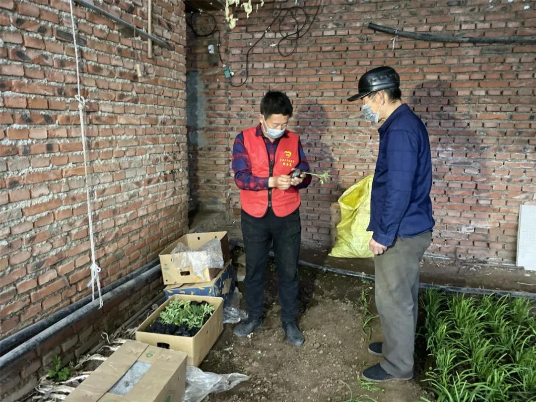 农技员下乡指导春耕,春耕农技服务送下乡