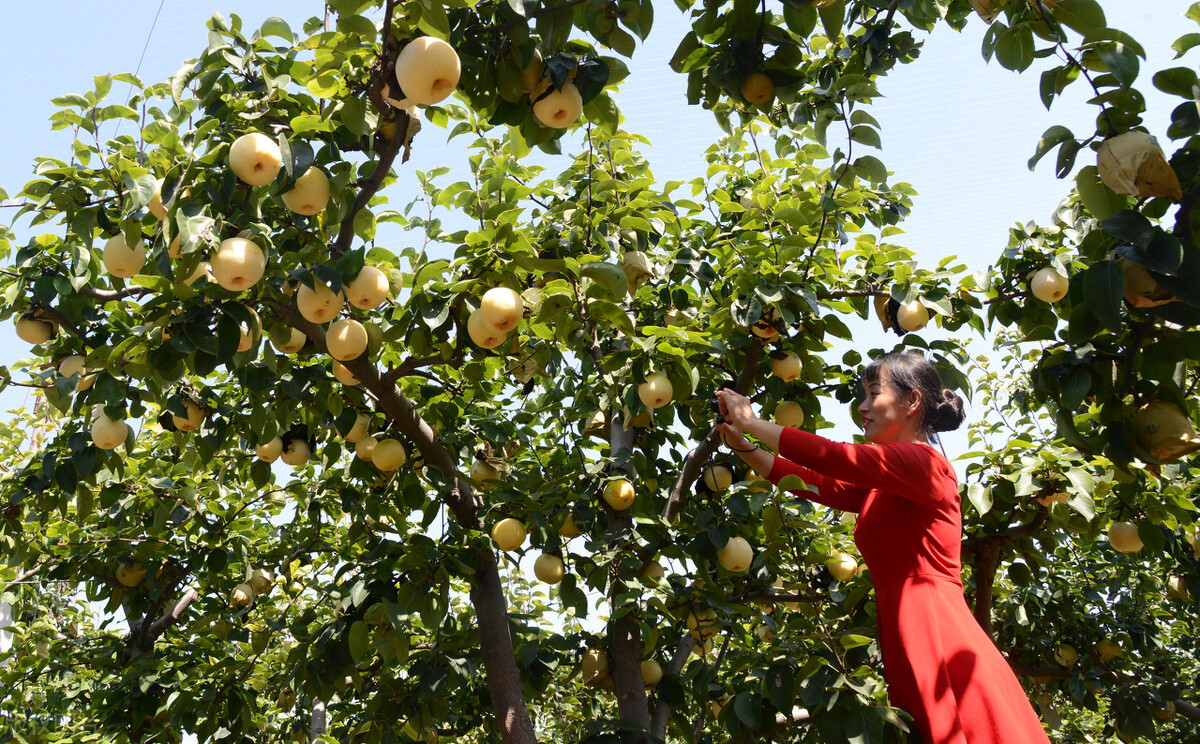大有卦辞的哲理意义,大有卦的爻辞