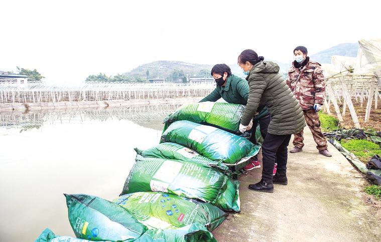 2018年开州区郭家镇的新农村建设,开州郭家镇乡村振兴