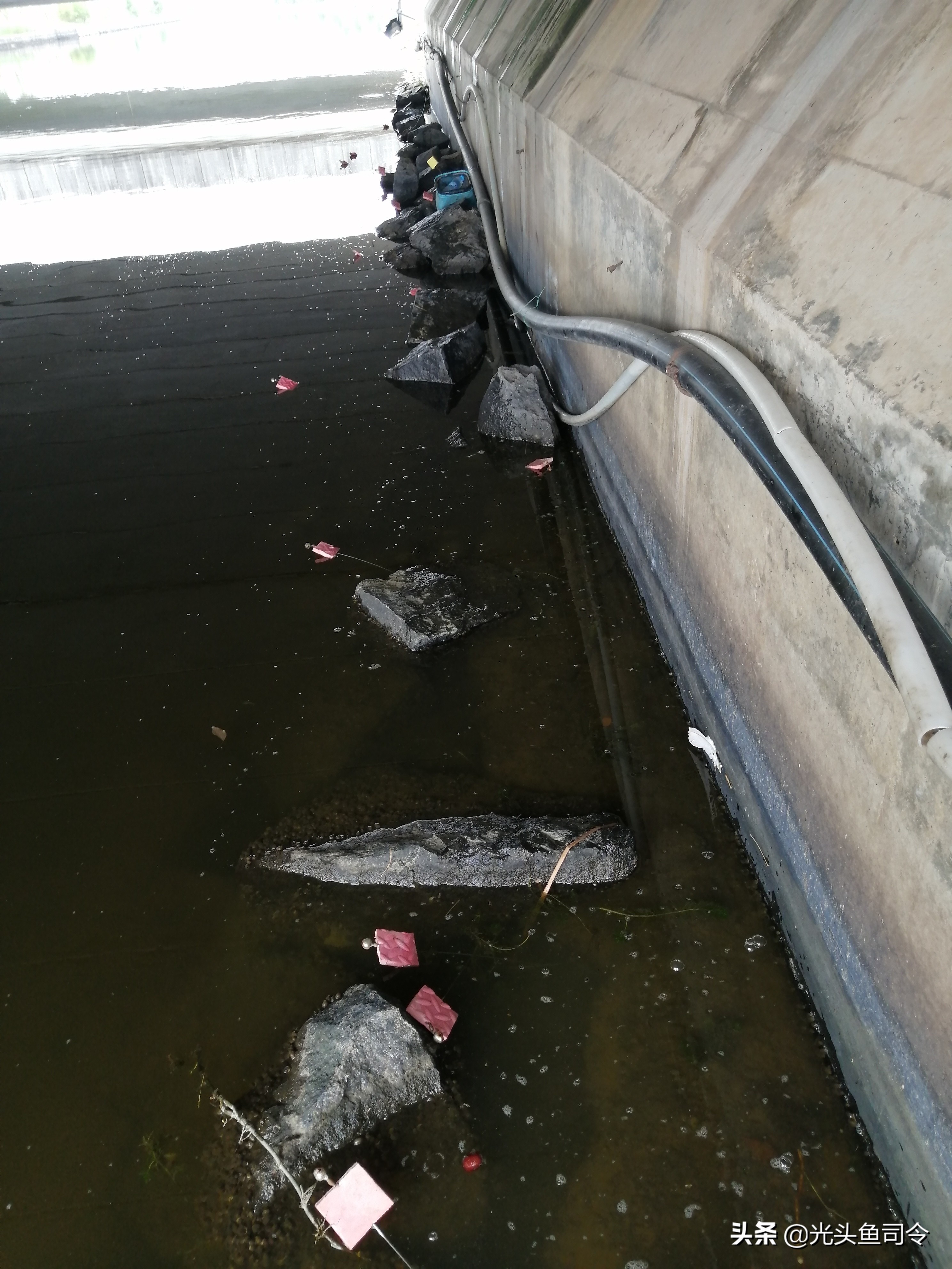 钓黄鳝引钩教学,钓黄鳝的引钩怎么做