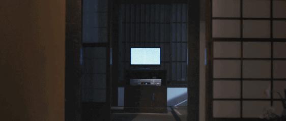 苗侨伟芒果台,4天2000万播放量