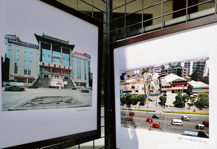 看洛阳牡丹花卉节,洛阳古都牡丹花展