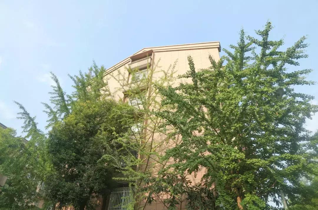 龙江，我不是河西