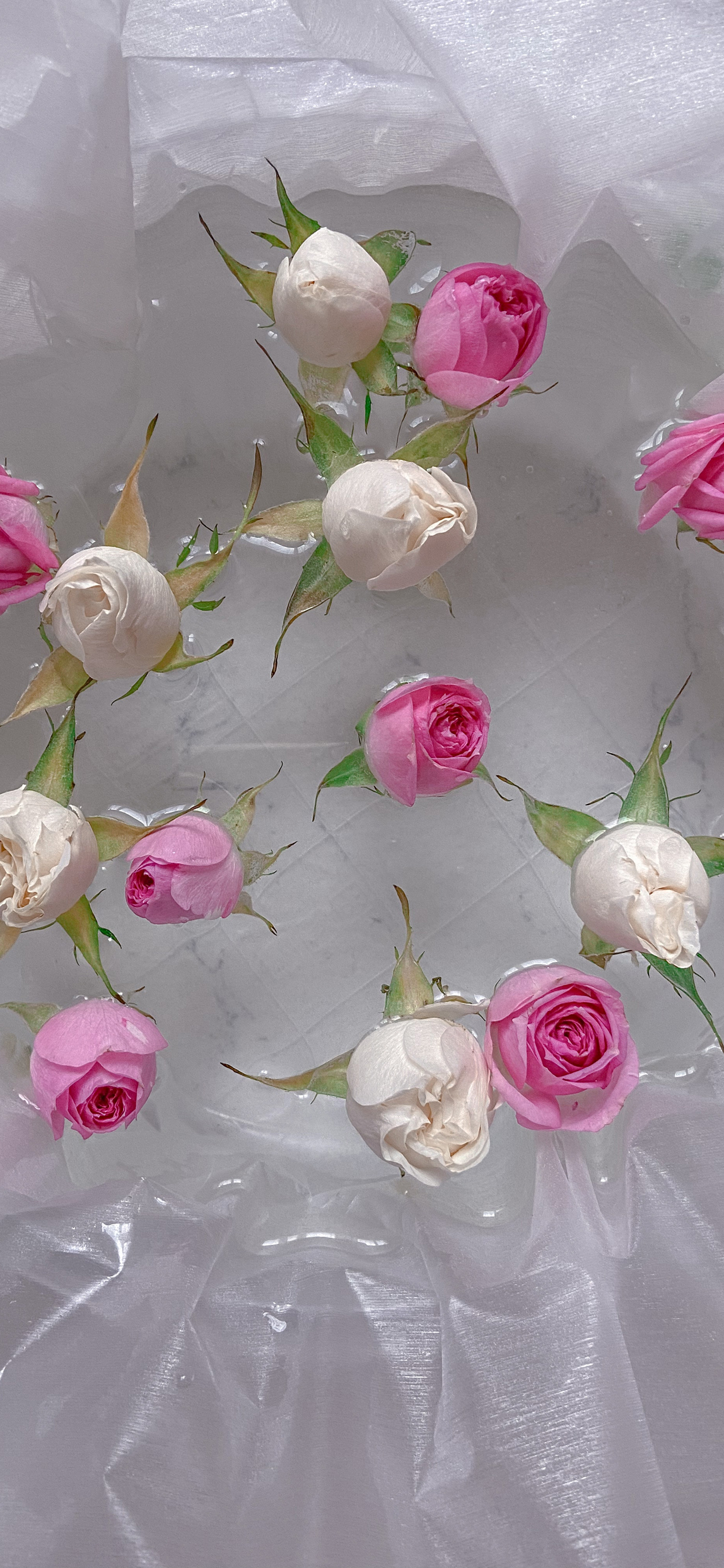 清晰到极致的手机壁纸图片,高清壁纸超清手机壁纸