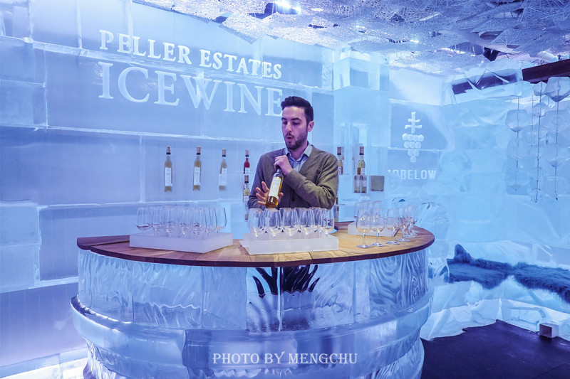 多伦多保姆级城市,多伦多的保姆