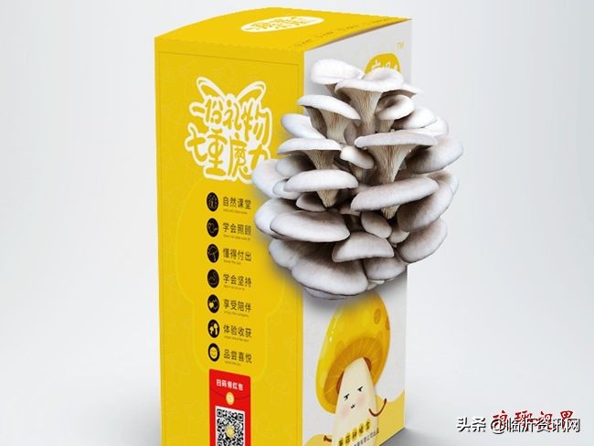 绀句氦鐢靛晢骞冲彴鍒涗笟鏈轰細,绀句氦鐢靛晢鍔╁姏涔℃潙鎸叴