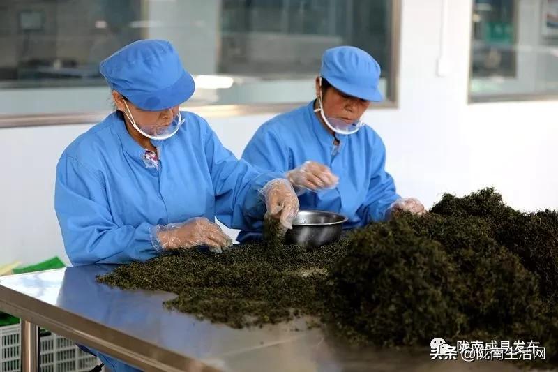 我叫成县，这是我2019年的自拍照