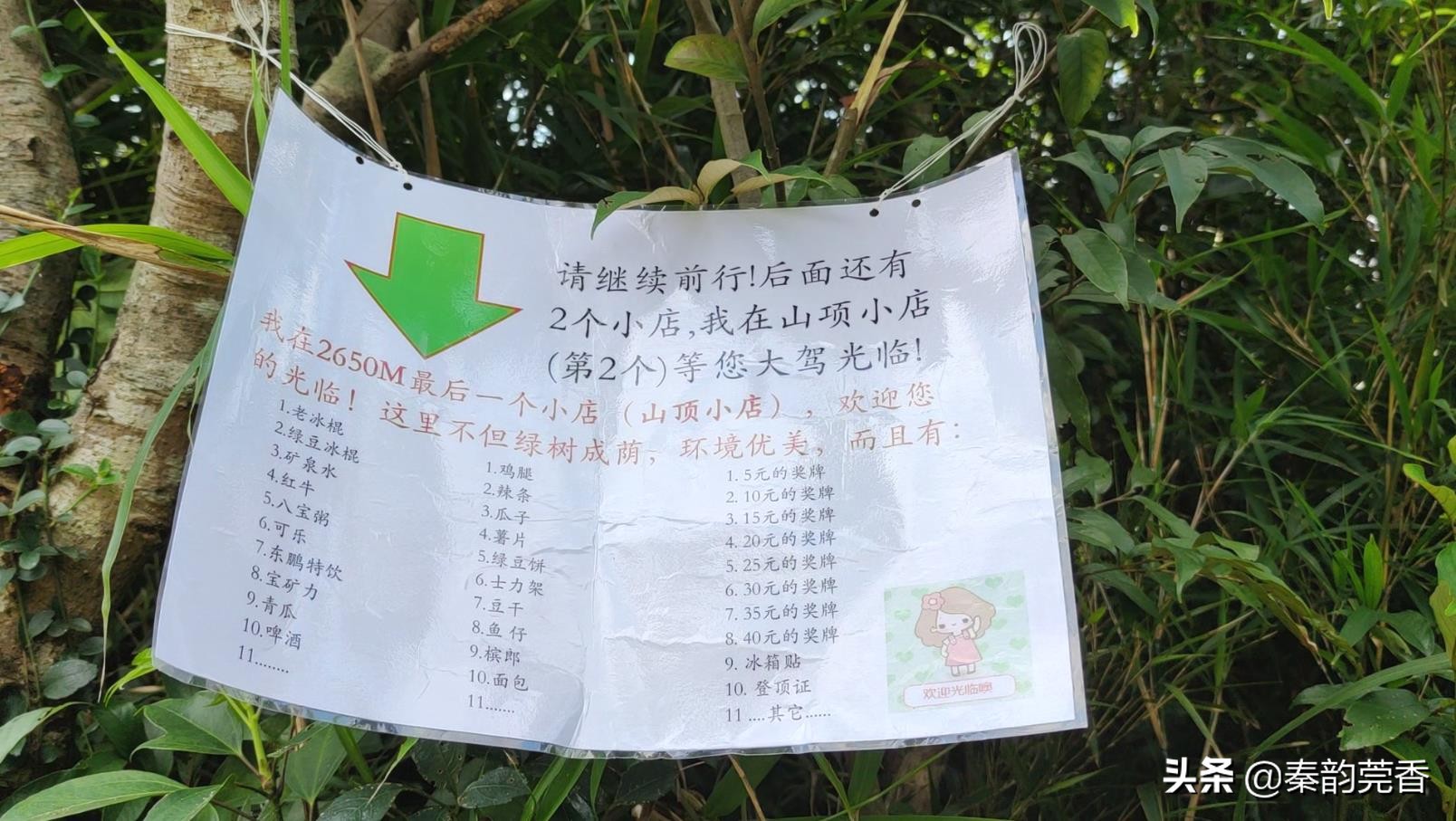 东莞银瓶山从哪个入口进入比较好,东莞第一高峰银瓶山爬上去要多久