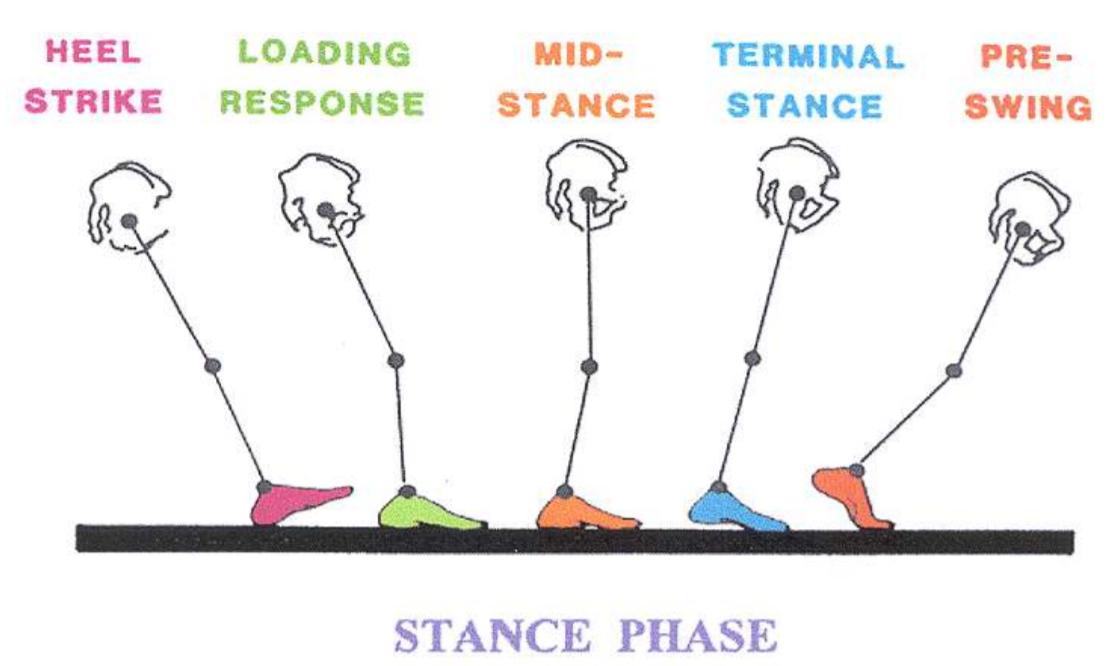 智能下肢康复机器人,下肢康复机器人步态分析