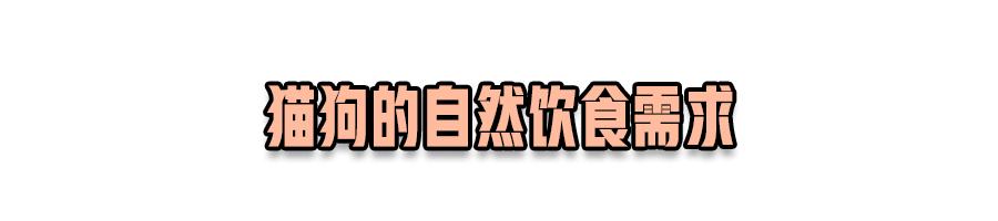 怎么快速了解猫狗粮,宠物到底有没有必要吃宠物粮