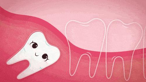 8岁儿童乳牙蛀牙需要治疗吗,五岁孩子蛀牙了需要补吗