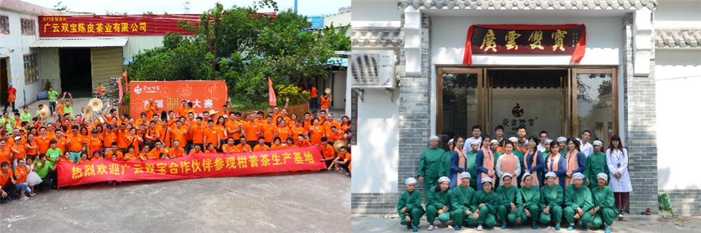 小青柑未来市场的挑战,小青柑品牌打造