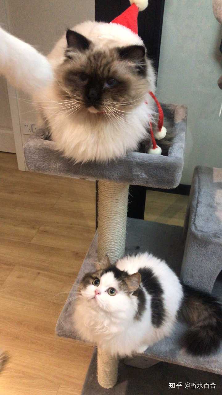 买了高层的人怎么样了,买了顶楼的房子后悔了吗