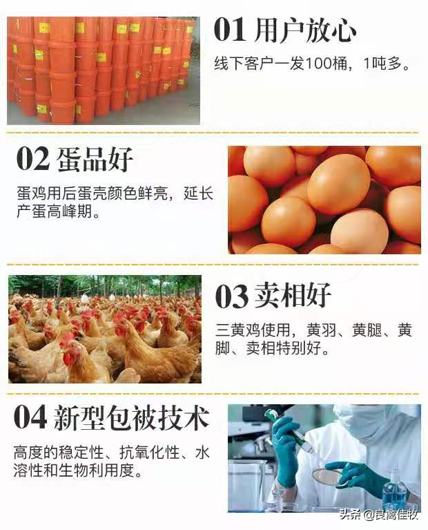 速补21鸡药,速补21价格