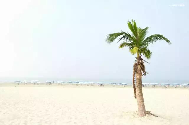 中国最美十大海岛哪个最好玩,最美海岛四季如春的地方