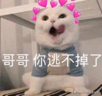 七夕福利特惠,七夕节福利大派送