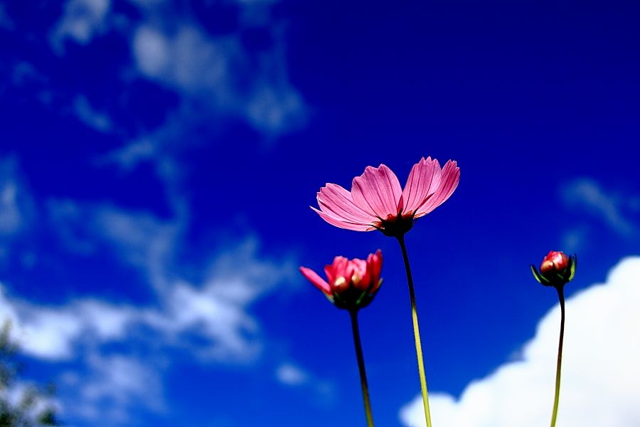 当别人诋毁自己,当别人诋毁你应该怎么办