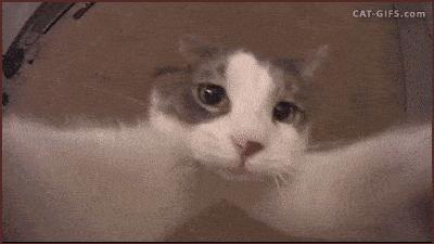 瓒h涓栫晫瑙嗛鍏ㄩ泦,瓒h涓栫晫瑙嗛澶у叏