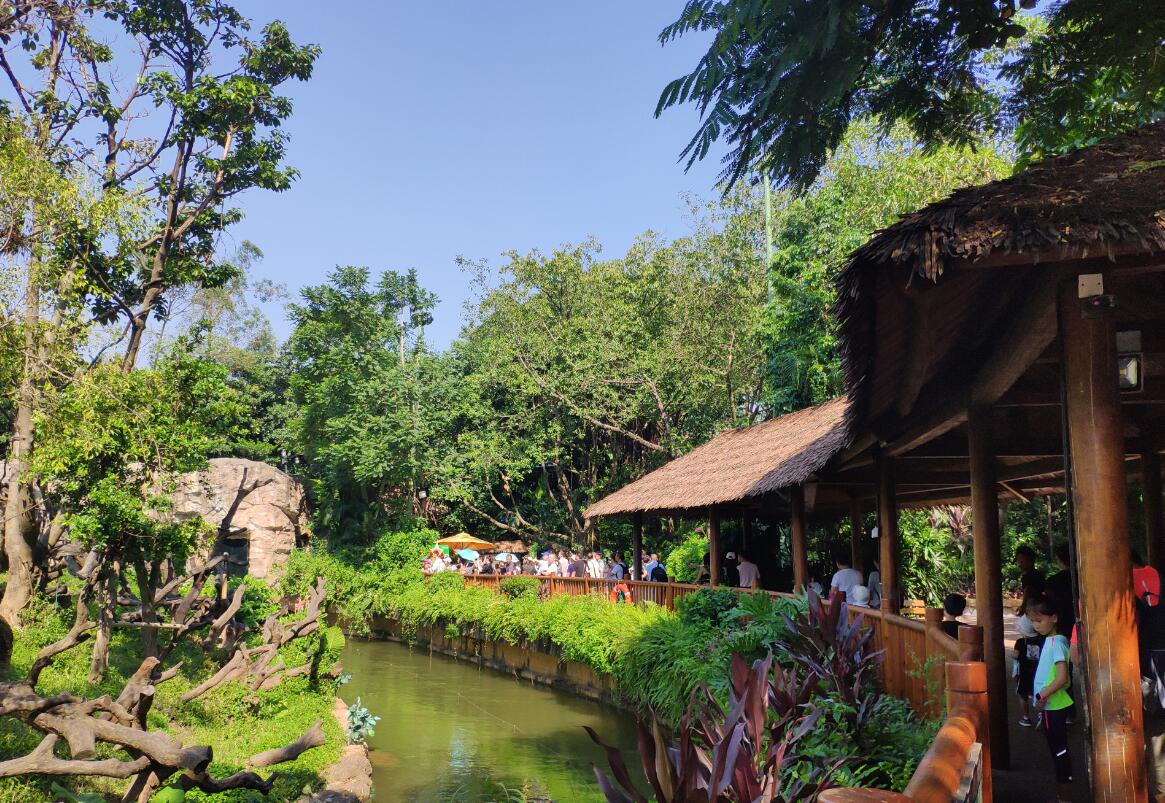 长隆野生动物园打卡攻略,打卡龙之梦动物园步行