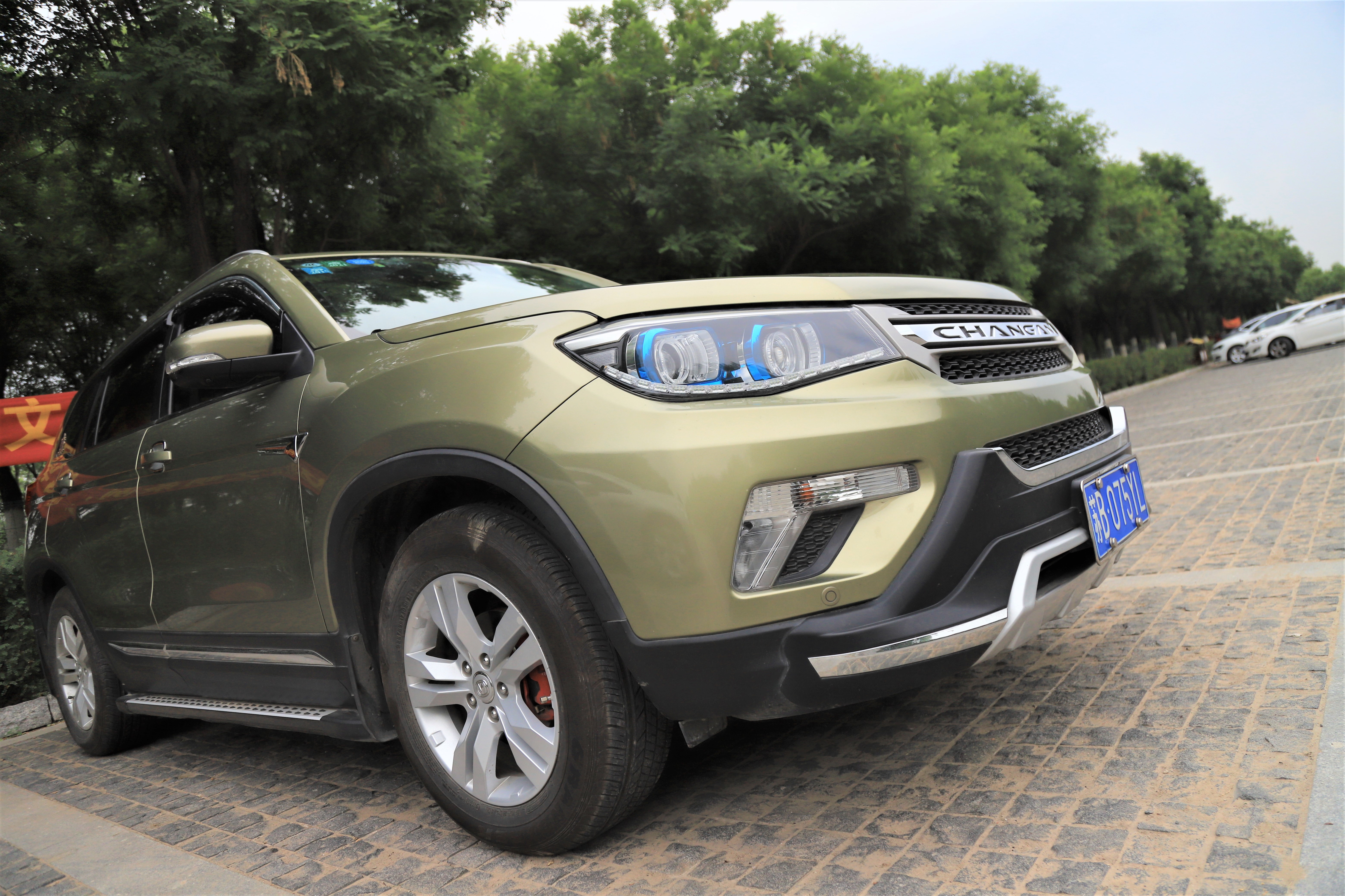 秋高气爽公园散步随拍,深秋天津的郊野公园