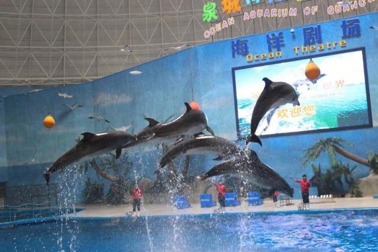 山东齐河游玩,山东齐河旅游攻略景点必去