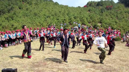 勤劳的精灵，采得百花酿成蜜，让人类享受自然的甘甜