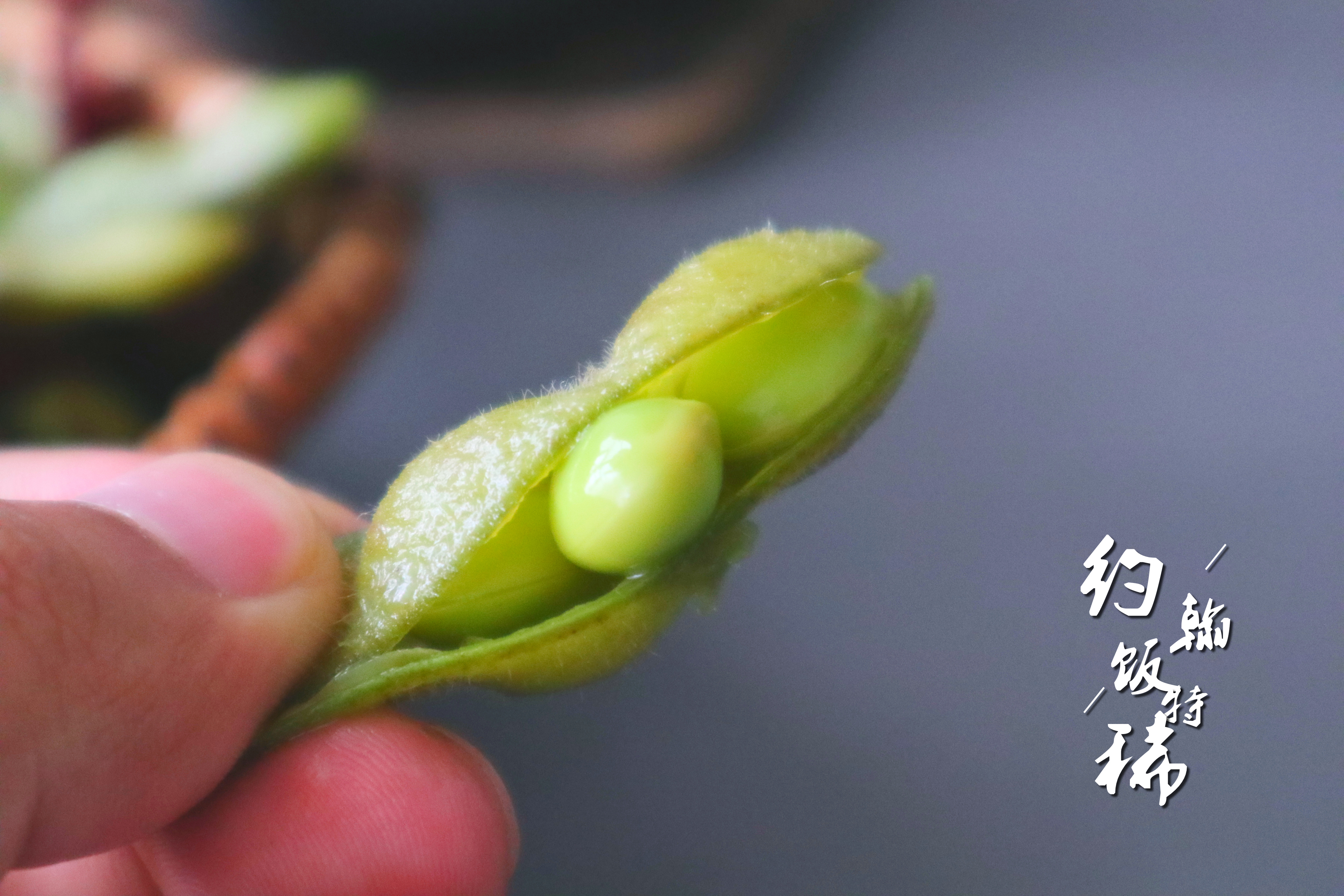 北方夜市卤毛豆做法,卤毛豆正确方法