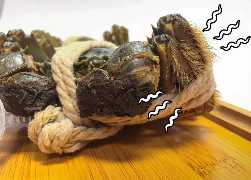 大纵湖大闸蟹价格表,大纵湖大闸蟹今日价格