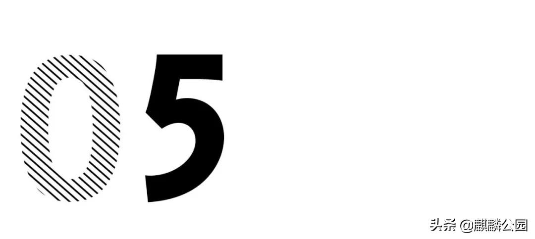 哪哪都有你|最大的国企美国邮政（USPS），快被特朗普搞破产了？