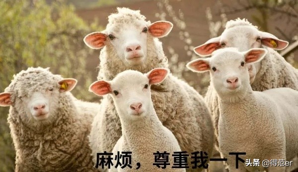 买羊绒大衣需要注意什么,购买羊绒大衣的最佳方法