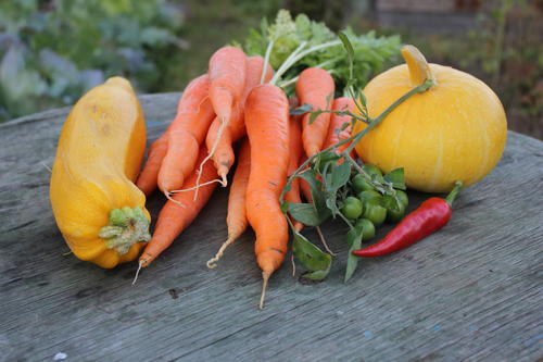 5个方法让你告别油头清爽一整天,夏天拯救大油头的妙招儿你get了吗