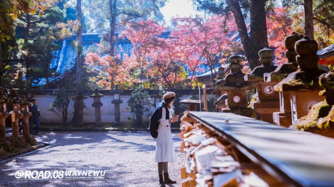 东京至富士山骑行,骑行日本