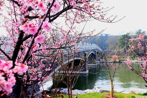 值得一去的南京旅游点,南京旅行攻略过年