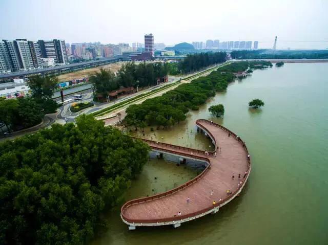 深圳适合小朋友好玩的地方推荐,深圳十个值得带孩子玩的地方