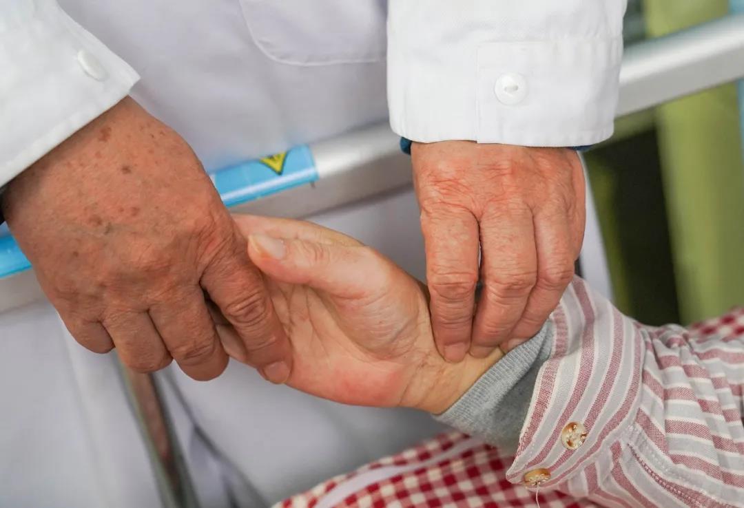 名老中医进医院,名老中医治肿瘤常用4味中药