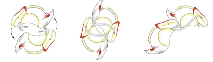 闆岄泟寮備綋鎬庝箞绻佹畺,闆岄泟寮備綋濡備綍绻佹畺