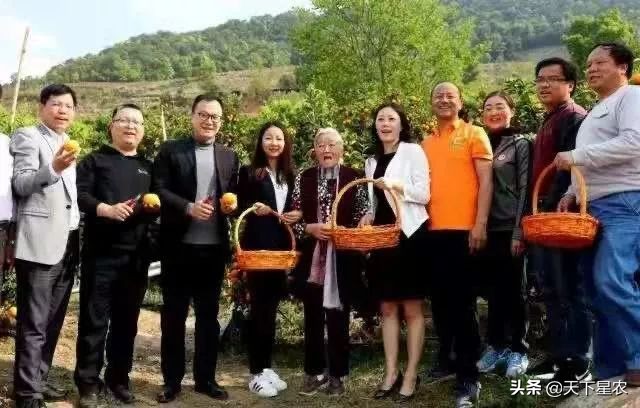 云品出滇飘香京城,云品厨出滇