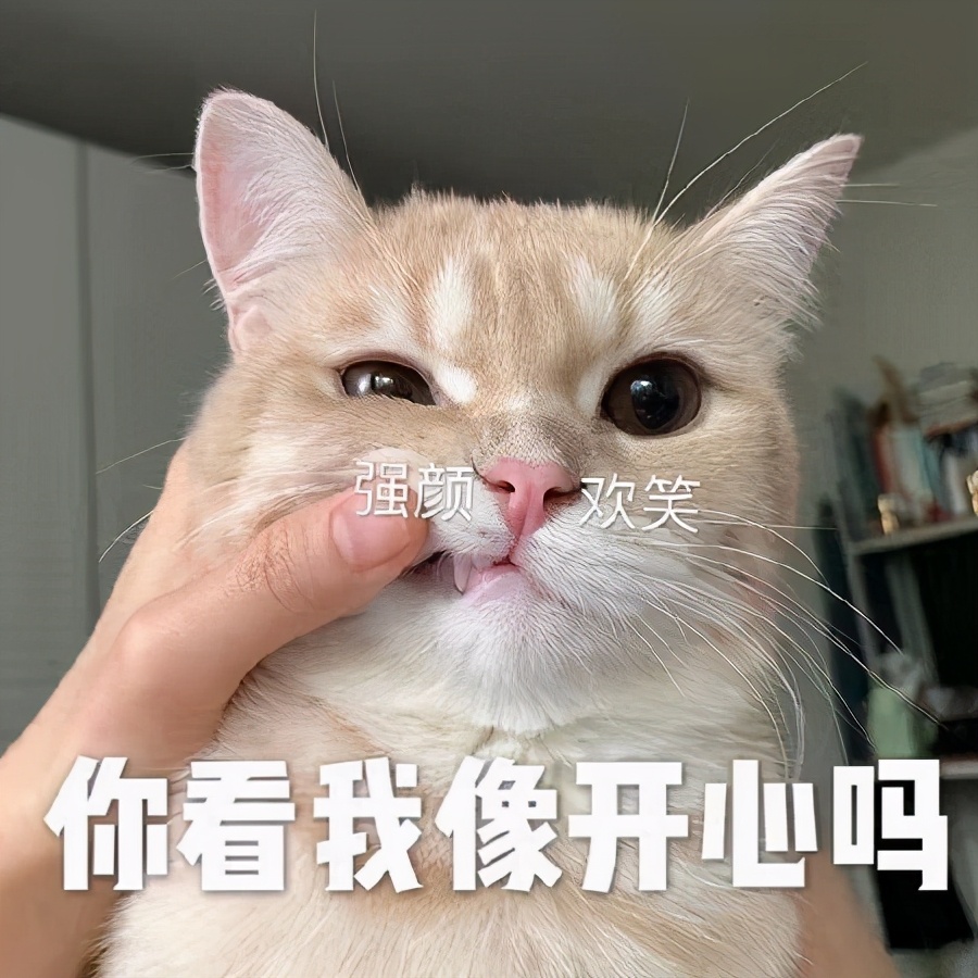 废物你除了睡觉还会干啥的表情包,混吃混喝做个快乐的废物表情包