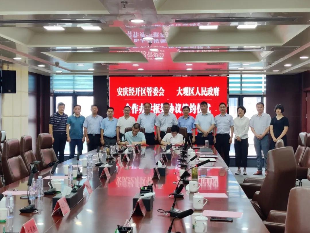 安庆绿地新里城高琦小学分校,高琦小学2018