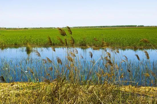天津免费景点,天津必游的免费景点排名前十