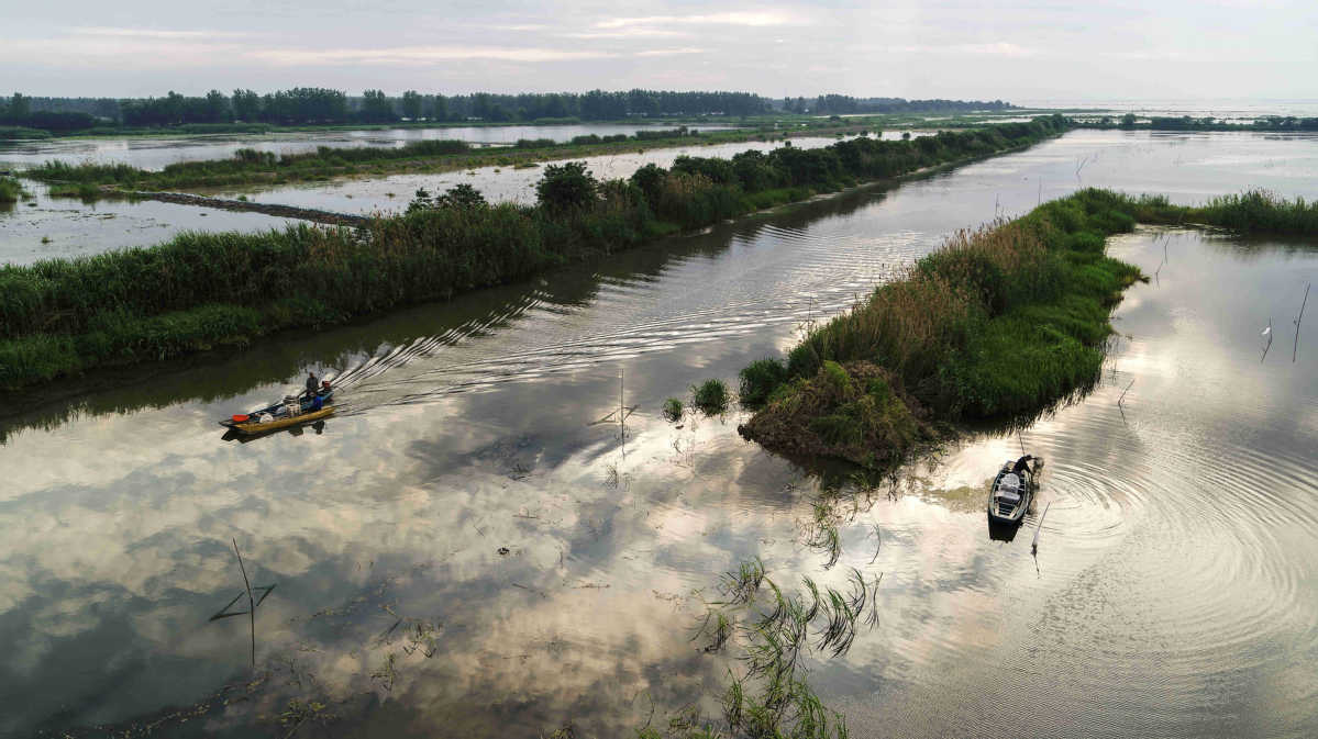 洪泽湖真实现状,洪泽湖最新状况