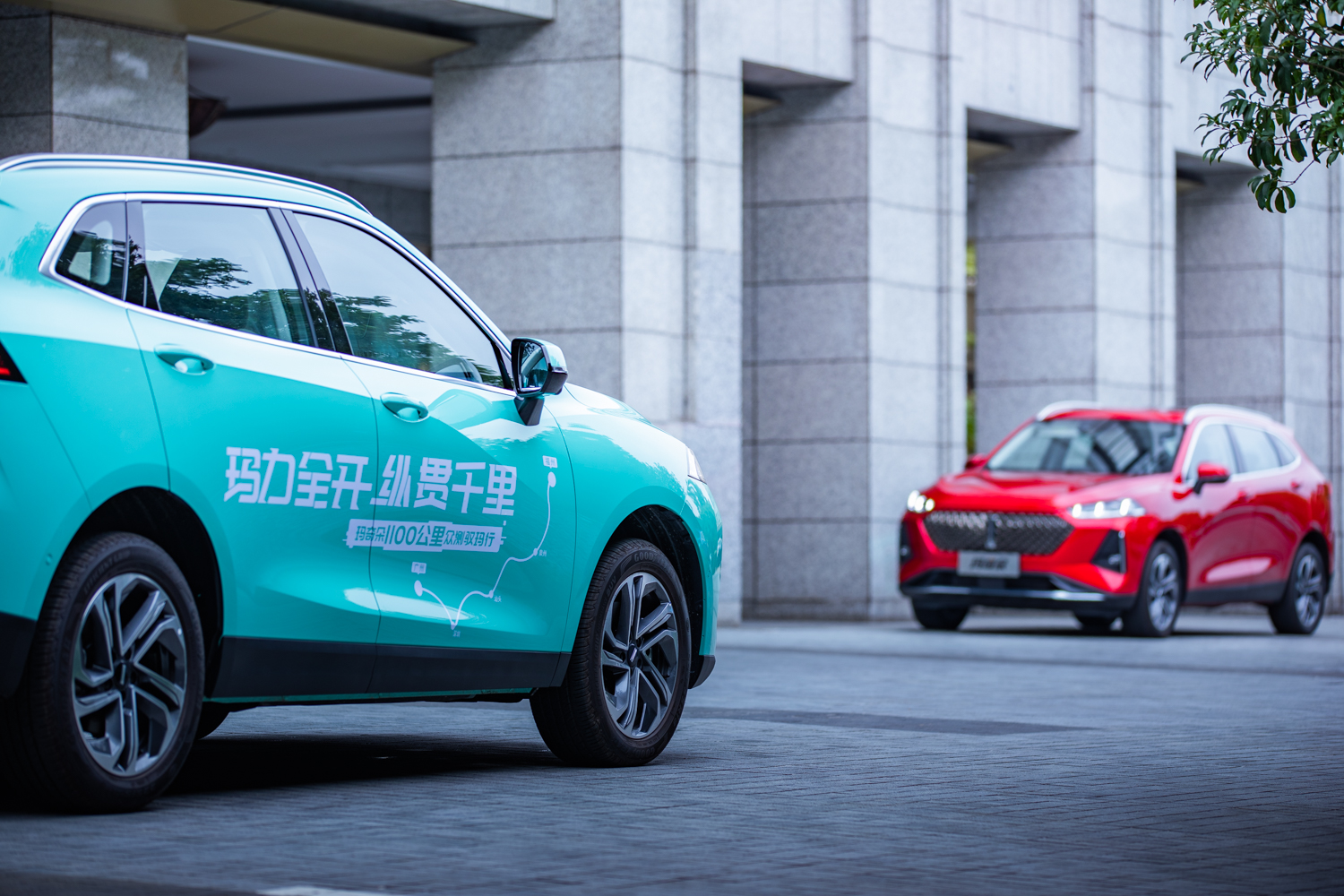 玛奇朵dht-phev油耗,实测油耗6升以下的车