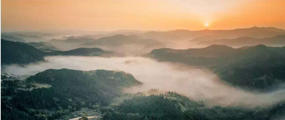 全球最大的城市森林公园,全球最绿色的城市