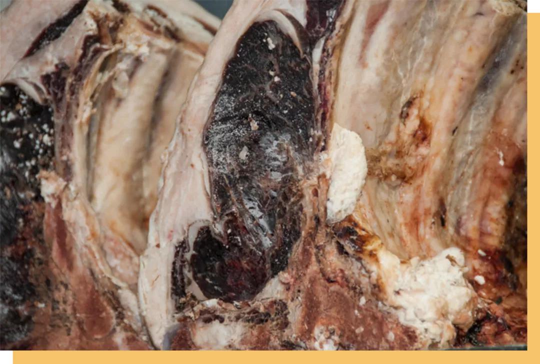 不要迷信「干式熟成」，它本质上是一场盲盒游戏