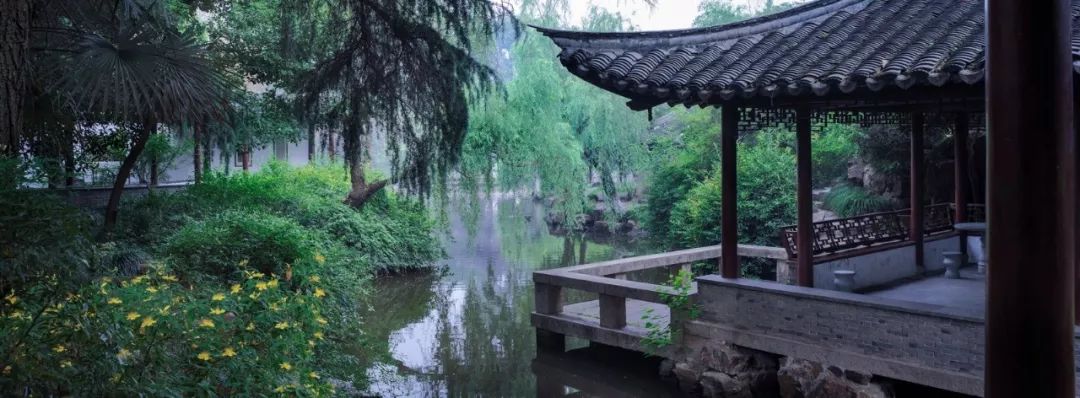 中国园林第一人，每个中国人都该谢谢他